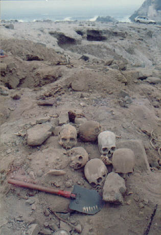 Se pueden ver en primer plano, algunos cr&aacute;neos y la magnitud de las excavaciones.